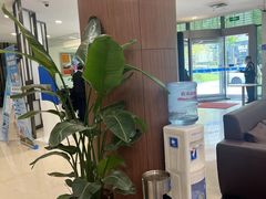 -中国民生银行(上海分行营业部)