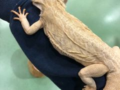 -藦茜花园宠物主题亲子互动体验馆(国顺东路店)