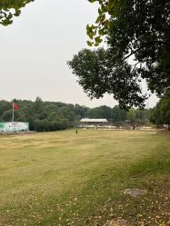 -长沙小顽国景区