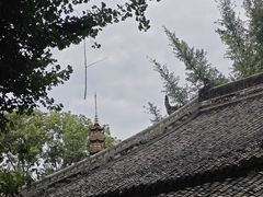 -四川美术馆