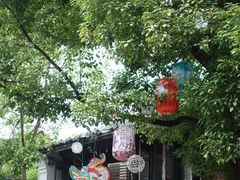 -西溪国家湿地公园