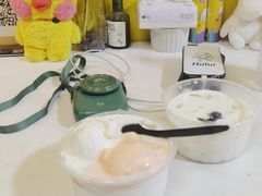 -志龙皇冠吃货椰子铺