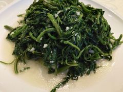 -阿英煲(凉城路店)