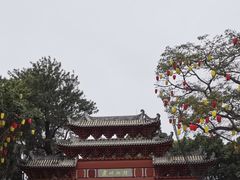 -惠州西湖丰渚园