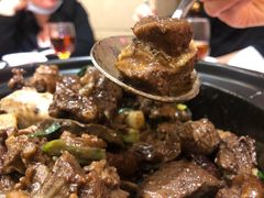 萝卜焖牛腩饭-北海渔村酒楼·粤菜海鲜点心(新华店)