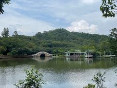 -大雁山风景区