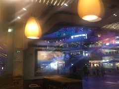 -The Habit Burger Grill 哈比特汉堡(爱琴海店)