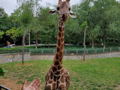 -石家庄市动物园