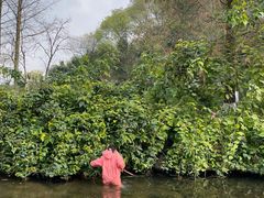 -重庆彩云湖湿地公园