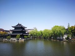 -野荸荠