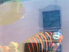 -北戴河圣蓝海洋公园