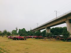 -秀丽东方