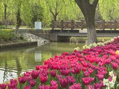 -上海鲜花港