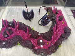 -BLACKSWAN黑天鹅(环球店)