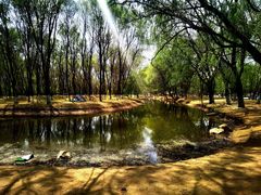 -长白岛森林公园