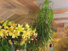 -春暖花开(西溪店)
