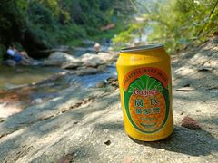 -广州市流溪河国家森林公园