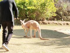 -泉州海丝野生动物世界