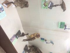 iphone_upload_pic-下渚湖国家湿地公园科普馆