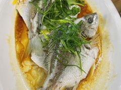 -八仔大富楼·河鲜(西江店)