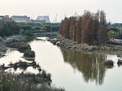 -长洲岛