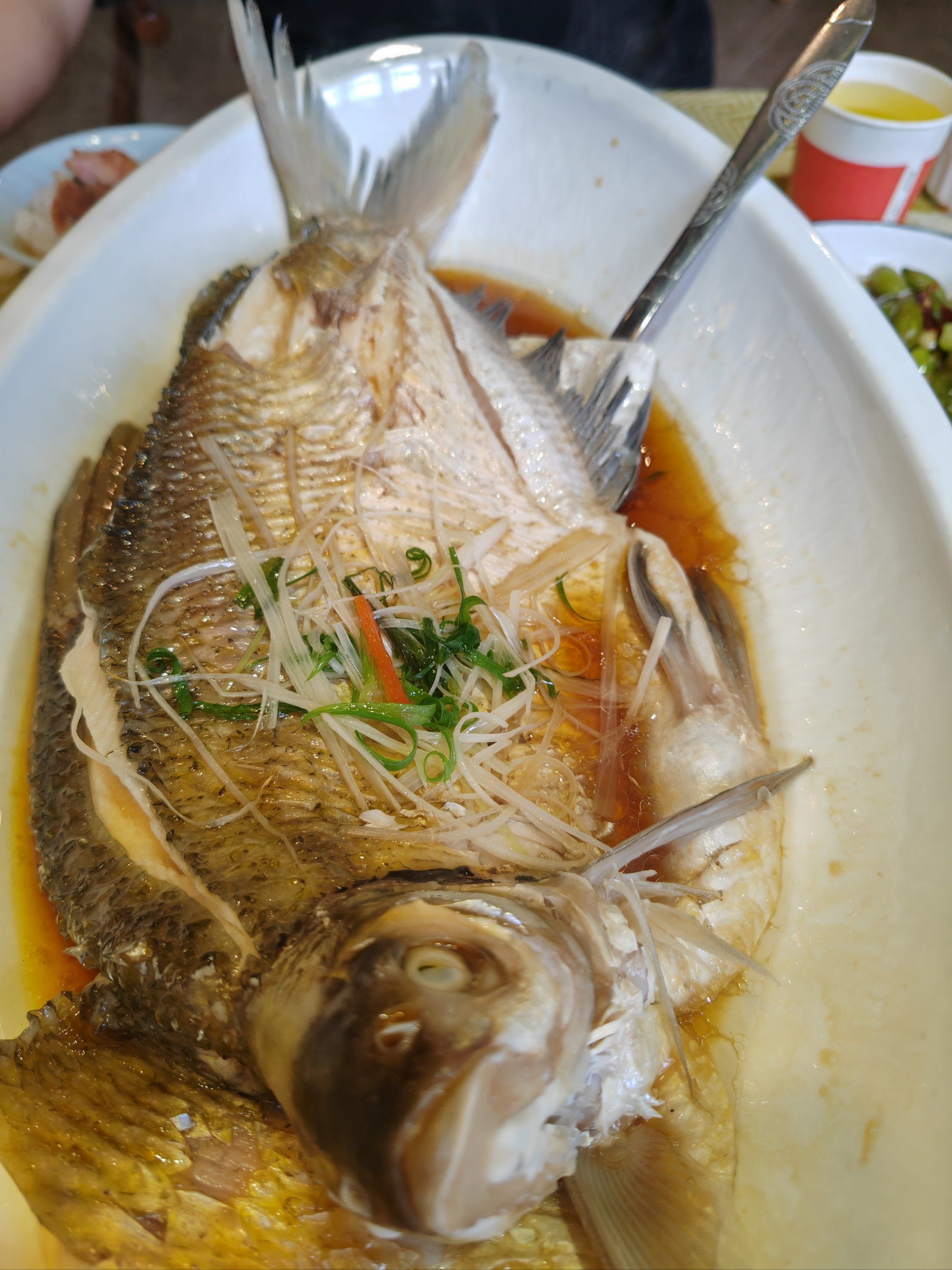 这是扁鱼还是武昌鱼?