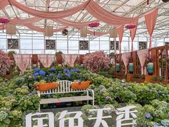 -盈香心动乐园