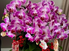 -虹御轩·传承江浙菜(虹桥店)