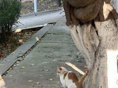 -西安市纺织公园