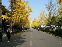 -四川大学(望江校区)