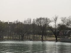-无锡蠡湖国家湿地公园-蠡园