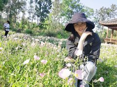 -白鹭湾湿地公园