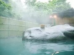 -深业半汤御泉庄温泉