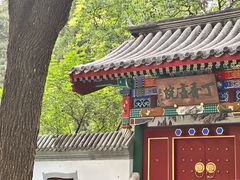 -宣武艺园