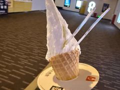 -野人先生现做冰淇淋(北京环宇荟店)