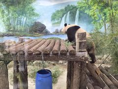 -杭州动物园