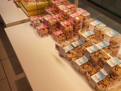 -蒲公英(五里店)