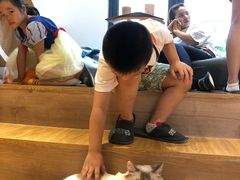 -啵啵喵·猫咖(攀华国际店)