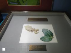 -上海昆虫博物馆