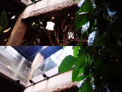 -胡仁根胡记炸炸炸