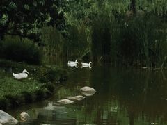 -木塔寺遗址生态公园