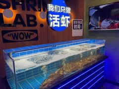 -0048鲜活香辣虾·火锅(铜陵路店)