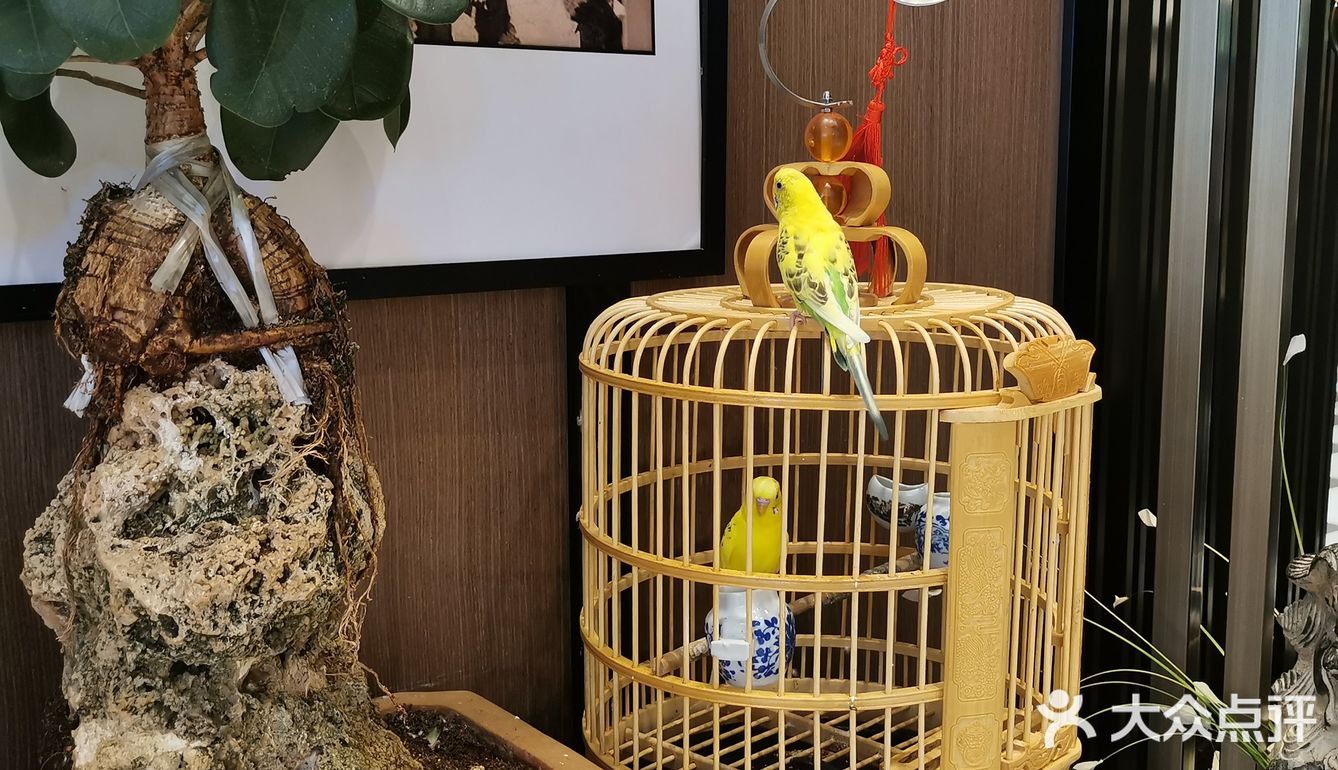✅✅打卡昆明多家粤菜餐厅总结