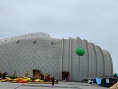 -泗洪洪泽湖湿地景区