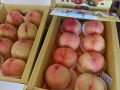 -南汇水蜜桃采摘(大团店)