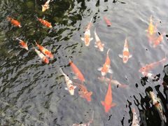 -鹅公村·国家非遗传承(荔湾店)