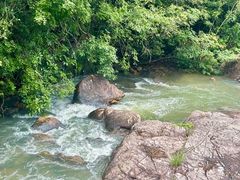 -广州白江湖森林公园