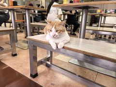 -阿信糖水(体育花园店)