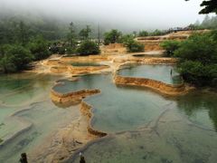 -黄龙山原始森林景区