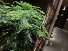 -足本纪·足道 SPA 简餐 小吃(文三西路店)